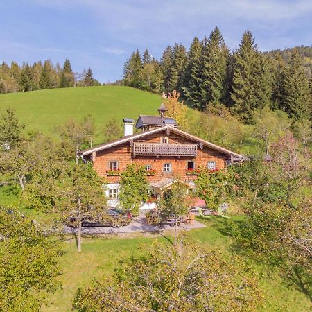 Holiday Home Oberhaslach By Interhome Abtenau Buitenkant foto