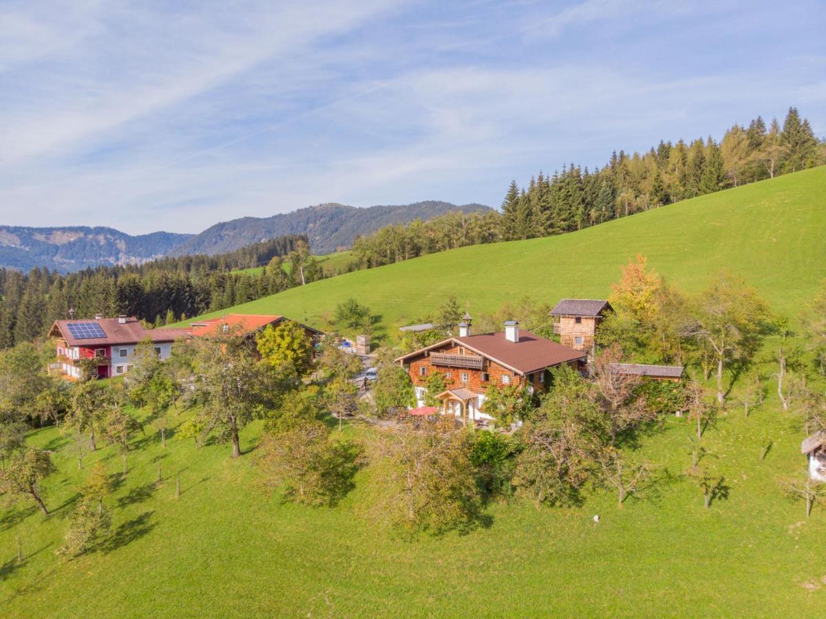 Holiday Home Oberhaslach By Interhome Abtenau Buitenkant foto