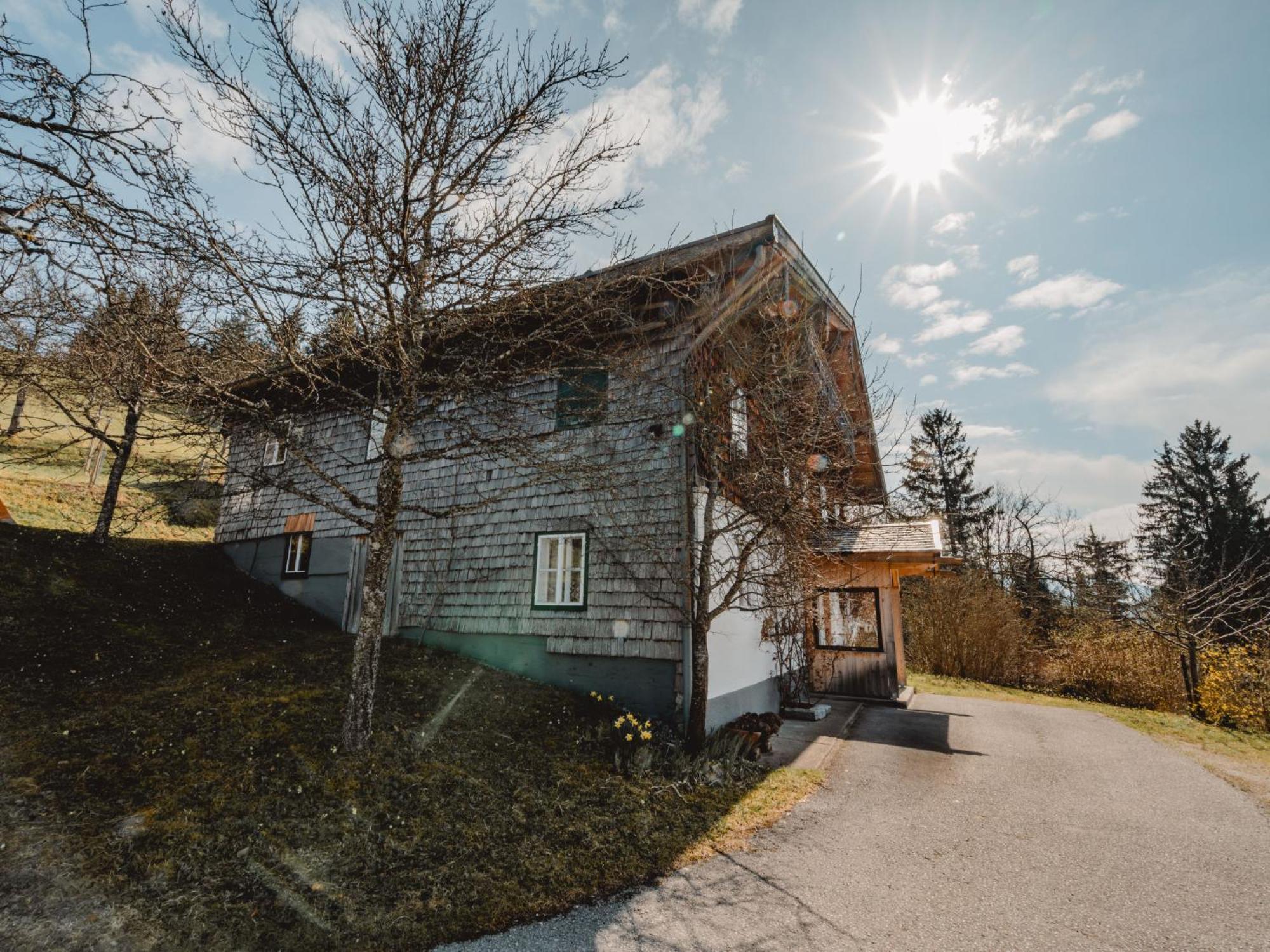 Holiday Home Oberhaslach By Interhome Abtenau Buitenkant foto
